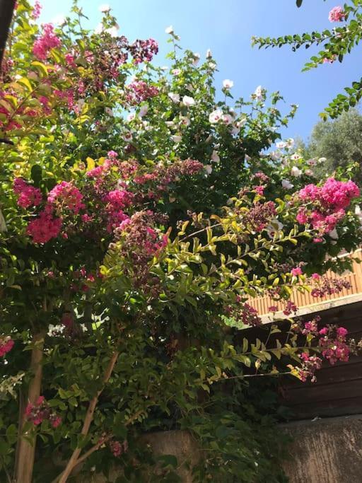 Appartement Sur La Colline Avec Acces Piscine Volx Exterior foto